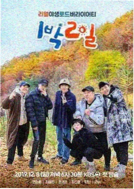 音浪现场 久久视频在线观看